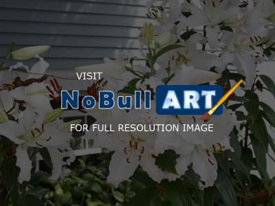 Newport - Newport Lilies I - Digital